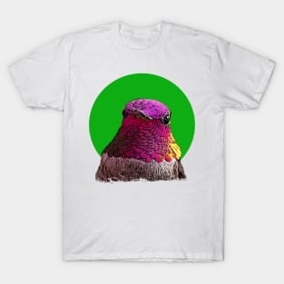 Pink hummingbird T-Shirt